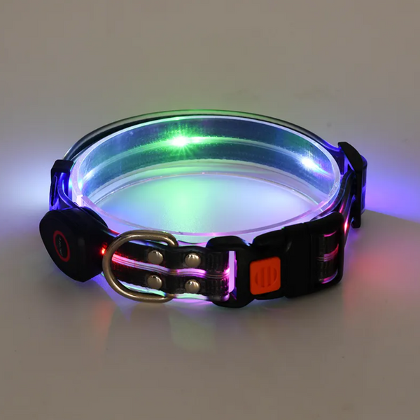 Rechargeable LED Dog Collar