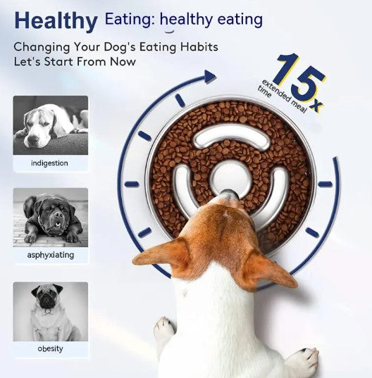 Slow Feeder Dog Bowl