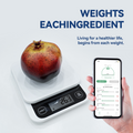 Digital Kitchen Food Scale