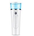 Nano Facial Steamer