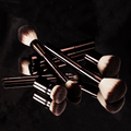 Professional Makeup Brush Set (12 pcs)